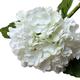 SmPinnaA Artificial Flowers for Decoration Artificial Flower Hydrangea Bouquet,Large Silk Fake Flowers for Wedding Livingroom Garden Home Decor Artificial Flowers Plants