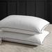 Alwyn Home Sleeping Goose Feather Down Plush Support Pillow Down & Feathers/100% Cotton in White | 20 H x 36 W x 5.6 D in | Wayfair