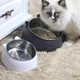 Cat Dog Bowl 15 Degrees Raised Stainless Steel Cat Bowls Safeguard Neck Puppy Cat Feeder Non-slip