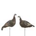 H.S. Strut Strut-Lite Hen Turkey Decoy 2 Pack