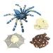 Spider Animal Life Cycle Animals Growth Cycle Life Cycle Model Insect Growth Cycle Model Educational D