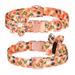 Dog collar girl dog collar dog collar floral pattern dog collar cute dog collar