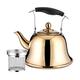 Electric Kettles for Boiling Water 1-3L Boiling Water Tea Kettle Add Soup Pot for Hot Pot Restaurant Stainless Steel Teapot Kettle for Induction Cooker for Coffee and Tea (Golden 3.0 L) kettle