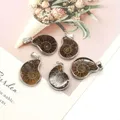 Exquisite Shell Naturstein Ammoniten Schnecke Anhänger 10-35mm Vintage Charme Modeschmuck Die DIY