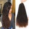 1 confezione/3 confezioni/6 confezioni 18 pollici Passion Twist Crochet Hair per le donne nere Water