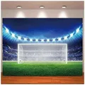 Toile de fond de photographie de football football but public sport match photo pour fan