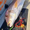 Madai-Leurre de pêche en eau salée Kabura Jig appât Él pêche à la traîne bar mer poisson-livre