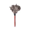 Plumeau en plumes d'autruche avec manche en bois brosse antistatique fourrure grise naturelle