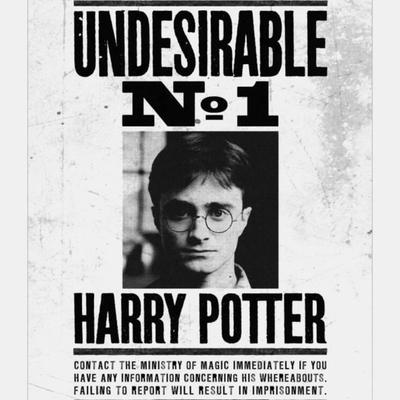 Harry Potter Undesirable No. 1 Framed Canvas Print - Black/White - 40cm x 30cm - 40CM X 30CM