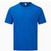 Fruit of the Loom Fruit of the Loom Mens Iconic 165 Classic T-Shirt (Royal Blue) - Blue - M