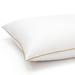 Cheer Collection Standard Size Sham Insert - Comfortable Feather Down 20" x 28" Bed Pillow - White