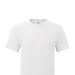 Fruit of the Loom Fruit of the Loom Mens Iconic Classic T-Shirt (White) - White - 3XL