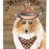 Caroline's Treasures Rough Collie Country Dog Garden Flag 2-Sided 2-Ply