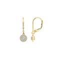 Diamonbliss Round Halo Leverback Earrings - Gold - CARAT: 1