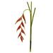 Silk Plant Nearly Natural 31 Hanging Heliconia Artificial Flower (Set of 4)