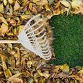 Apmemiss Spring Decor Clearance Plastic Rake Thickened Raking Grass Rake Agricultural Rubber Rake withered Leaves Rake Rake Leaf Rake Leaves Rake Iron Rake Gardening Tools Deal of the Day Clearance