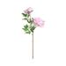 CFXNMZGR 2 Bouquets Artificial Peonies Dark Pink Light Pink Fake Peony Flowers Simulation Of Peony Branches For Wedding Home Office Party Decoration Table Centerpieces Floral Arrangements