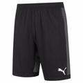 PUMA Finale EVOknit Herren Shorts 703449-03