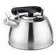 Stove Top Whistling Tea Kettle, Tea Kettle 3.5L Whistle Kettle with Thermometer 304 Stainless Steel Kitchen Whistle Kettle Water Temperature Kettle Tea Kettle Tea Pot (Co (Color (Color : Silver, Siz