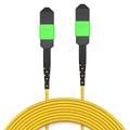 AMPCOM MPO to MPO Trunk Cable 9/125ÎŒm Singlemode OS1/OS2 (8 Fiber, MPO to MPO Female, Type B, LSZH/Riser, UPC, Yellow) 50m (164ft)