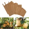 100Pcs Grape Protection Bags For Fruit Vegetable Grapes Pulp Paper Bag Against Insect Pouch