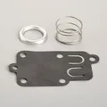 1 Set b.s5021 Vergaser Carb Membran Dichtung Kit fit für Briggs Stratton 270026 272538 272538S