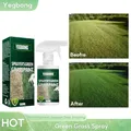 Green Grass Spray Household Seeding System Liquid Lawn Paint Repair Green Lawn Grass Greening Agent