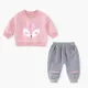 Herbst Infant Baby Mädchen Kleidung Set Sport Sweatshirt Hose 2Pcs Kinder Outfit Cartoon Fuchs