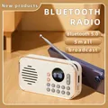 Haut-parleur Bluetooth stéréo sans fil avec fonction radio multibande prise en charge du son HIFI