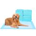 Tucker Murphy Pet™ Pet Training Mat/Pad Set of 20 in Blue | 0.2 H x 13 W x 18 D in | Wayfair AFC9E16EF95C48D5AD6820793111B320