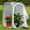 Qtmnekly 2-Pack Insect and Butterfly Habitat Cage Terrarium -Up Butterfly Enclosure (2 X 15.7 X 15.7 X 23.6Inch)