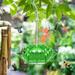 Rungungde Sherem Sweety Hummingbird Feeder Dotmalls Hummingbird Feeder Wind Chime Hummingbird Feeder Windchime Hummingbird Feeder Hummingbird Feeders for Outdoors Hanging Ant and Bee Proofï¼ˆGreenï¼‰