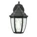 Millennium Lighting 220001 11 Tall Outdoor Wall Sconce - Black