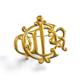 CHRISTIAN DIOR Vintage gold tone detailed design logo crystal brooch