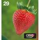 Epson Strawberry Multipack 4-colours 29 EasyMail