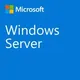 Microsoft Windows Server CAL 2022 Kundenzugangslizenz (CAL) 1 Lizenz(en)