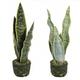 pc Artificial Tropical Plant Tiger Skin Lily Potted Plant Without Pot For St Patricks Day Decoration Made Of Pe Material Green Color Tabletop Ornament