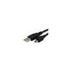 USB Cable For Canon PowerShot SX240 HS Digital Camera