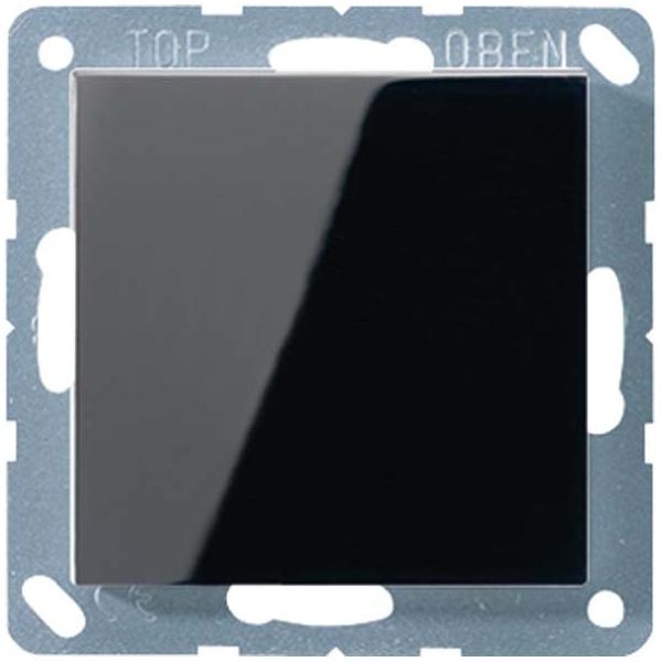 Jung Blind-Abdeckung sw A 594-0 SW A594-0SW Image