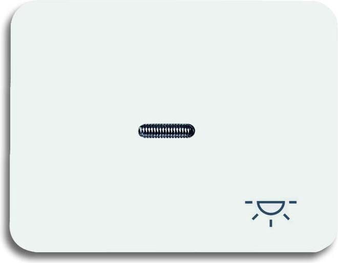 Busch-Jaeger Wippe sws 1789 LI-24G 2CKA001751A2201 Image