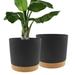Plant Pots Set of 2 Pack 12 inch,Planters for Indoor Plants with Drainage Holes and Removable Base,Saucer Modern Decorative