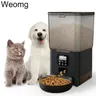 6L TuYa wi-fi o Button Automatic Timmer Pet Feeder Smart Feed Dog Cat Feeder App per Pet Voice