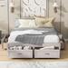 Platform Bed with 6 Storage Drawers, Wooden Bedframe, Full/Queen Size