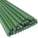 Garden Stakes 60 inch 5ft Sturdy Plant Sticks/Support, Tomato Stakes, Pack of 30