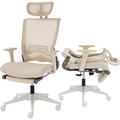 Inbox Zero Foldable Ergonomic Office Chair w/ Footrest, High Back Computer Chair w/ 2d Headrest, Mesh Back, Sponge Seat, Adjustable Lumbar Support | Wayfair