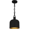 Quoizel Lighting - 1 Light Mini Pendant In Industrial Style-11 Inches Tall and 8