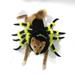 Deagia Toilet Brush Clearance Halloween Pet Clothes Halloween Pet Costume Cape Spooky Dog with Knife Bloody Dress with Hat Gifts for Men Women