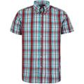 Real Hoxton Checked Short Sleeve Shirt - Sky - RHXTSS-SKY SS BT SHIRT