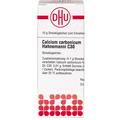 DHU - CALCIUM CARBONICUM Hahnemanni C 30 Globuli Zusätzliches Sortiment 01 kg