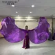 1 Pair Adult Dance Props Flags Wings 190*140cm Multiple Colors Belly Dance Performance Accessories